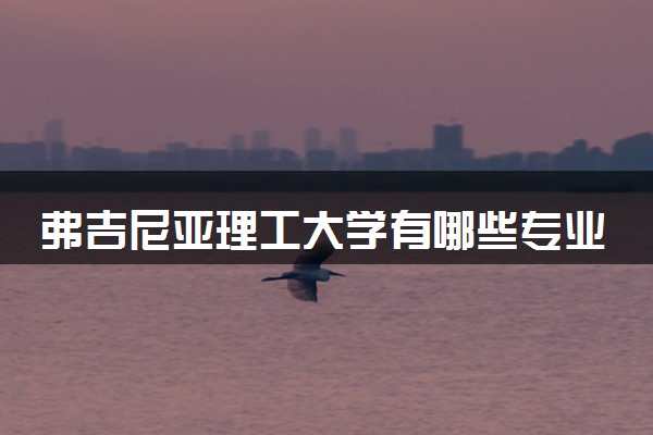弗吉尼亚理工大学有哪些专业 最厉害三个专业是什么