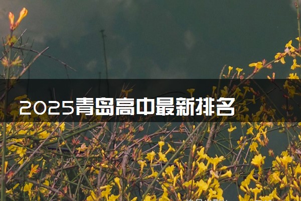 2025青岛高中最新排名 青岛优秀高中排行榜