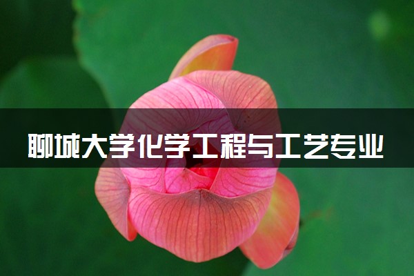 聊城大学化学工程与工艺专业怎么样 录取分数线多少