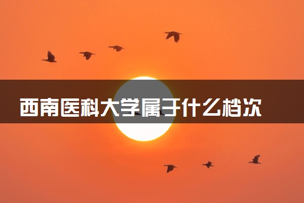 西南医科大学属于什么档次 学校好不好