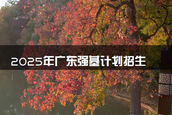 2025年广东强基计划招生大学名单 有哪些专业