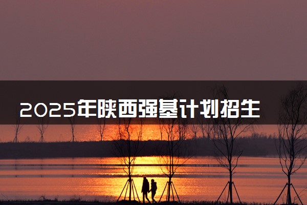 2025年陕西强基计划招生大学名单 有哪些专业