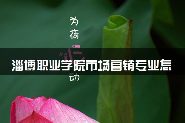 淄博职业学院市场营销专业怎么样 录取分数线多少