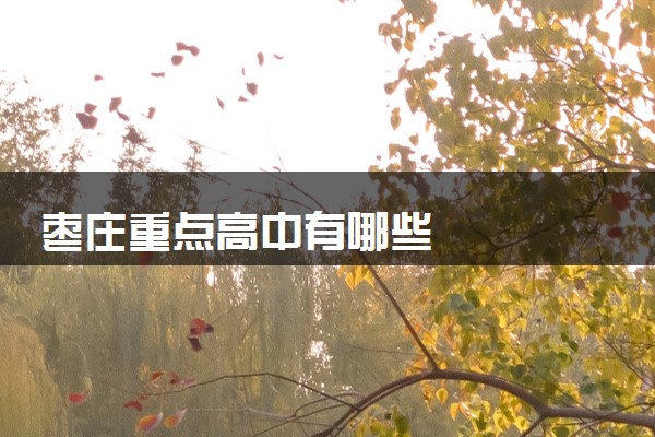 枣庄重点高中有哪些