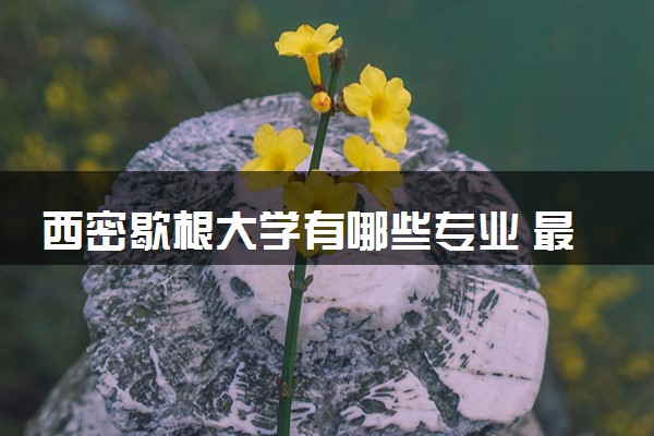 西密歇根大学有哪些专业 最厉害三个专业是什么