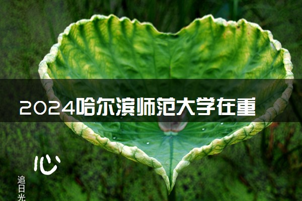 2024哈尔滨师范大学在重庆录取分数线 各专业分数及位次