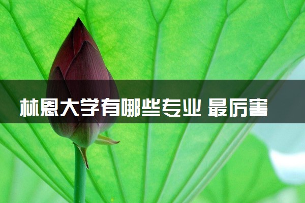 林恩大学有哪些专业 最厉害三个专业是什么