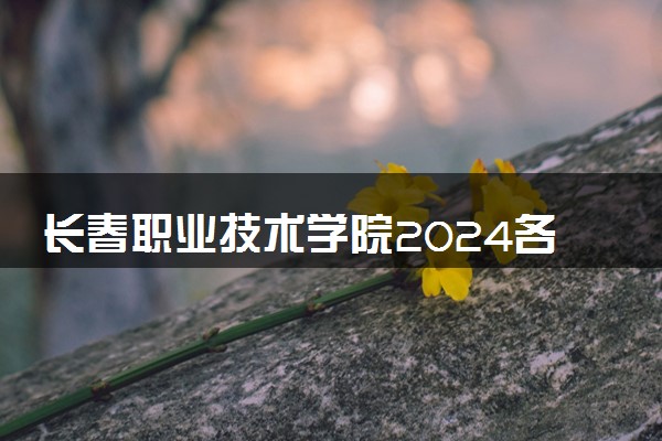 长春职业技术学院2024各省录取分数线及最低位次是多少