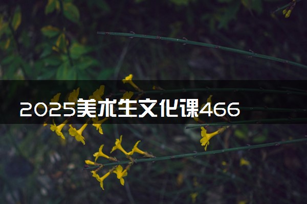 2025美术生文化课466分能上云南财经大学吗