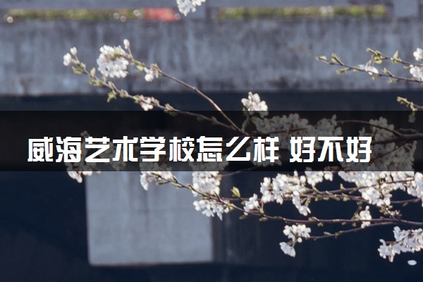 威海艺术学校怎么样 好不好