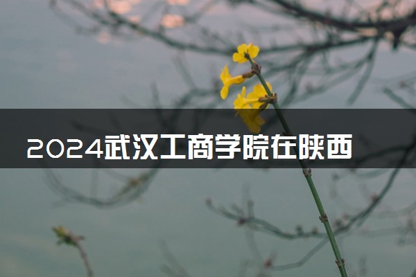 2024武汉工商学院在陕西录取分数线 各专业分数及位次