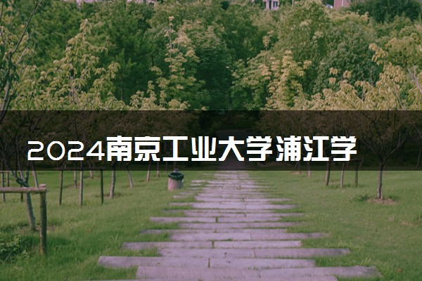 2024南京工业大学浦江学院在山东录取分数线 各专业分数及位次