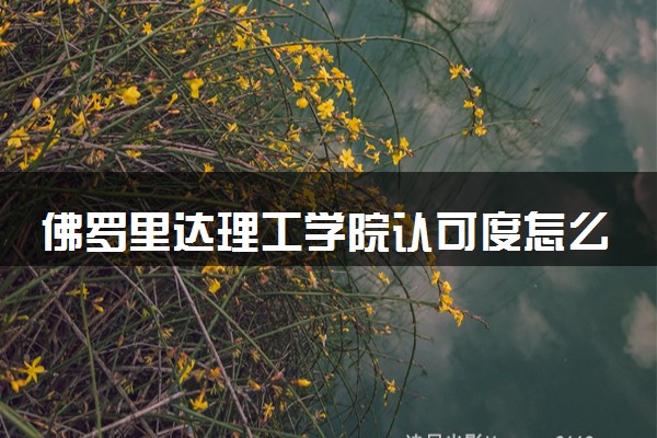 佛罗里达理工学院认可度怎么样 相当于国内什么大学