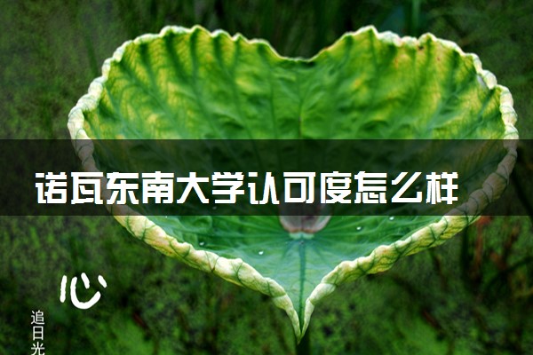诺瓦东南大学认可度怎么样 相当于国内什么大学