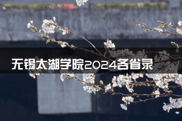 无锡太湖学院2024各省录取分数线及最低位次是多少
