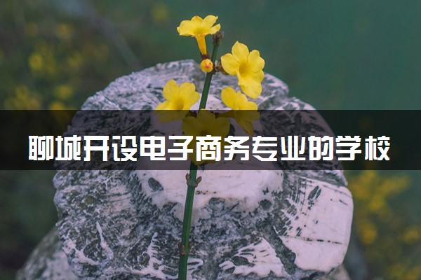 聊城开设电子商务专业的学校有哪些