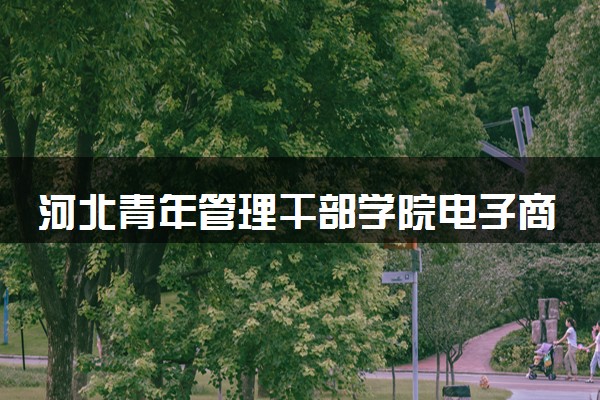 河北青年管理干部学院电子商务专业怎么样 录取分数线多少