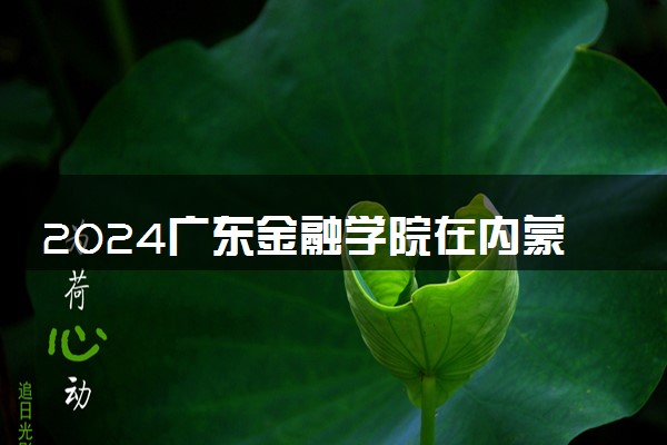 2024广东金融学院在内蒙古录取分数线 各专业分数及位次