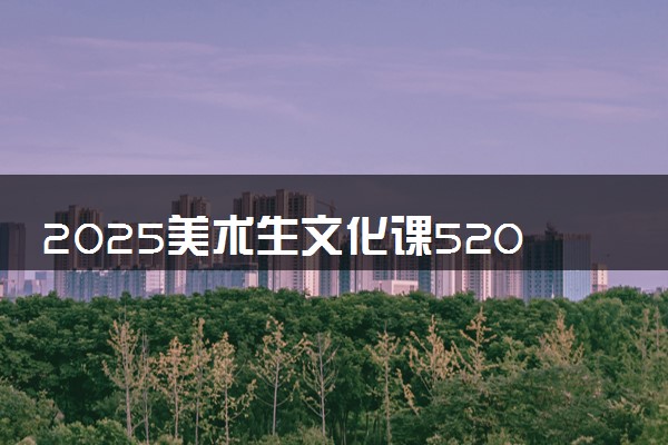 2025美术生文化课520分能上石河子大学吗