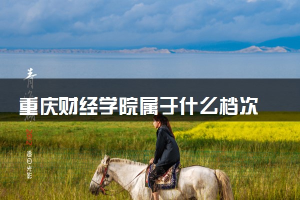 重庆财经学院属于什么档次 学校好不好