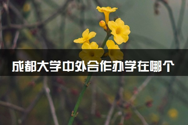 成都大学中外合作办学在哪个校区 在什么地方