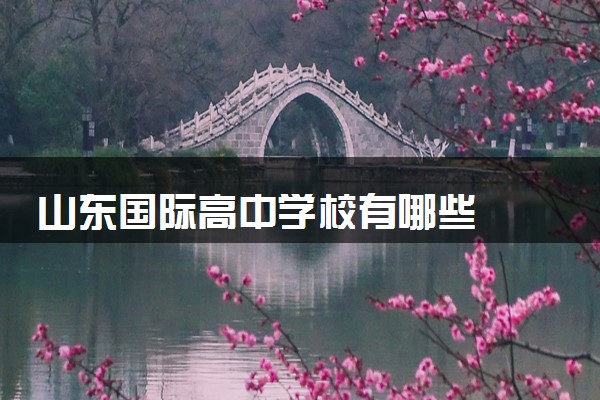 山东国际高中学校有哪些