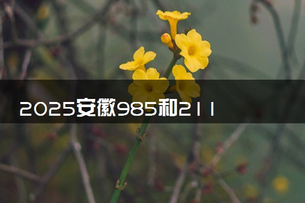 2025安徽985和211大学有哪些 最新排名和分数线