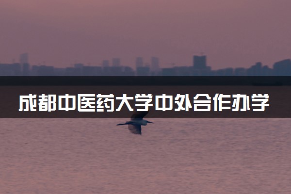 成都中医药大学中外合作办学学费多少 住宿费多少