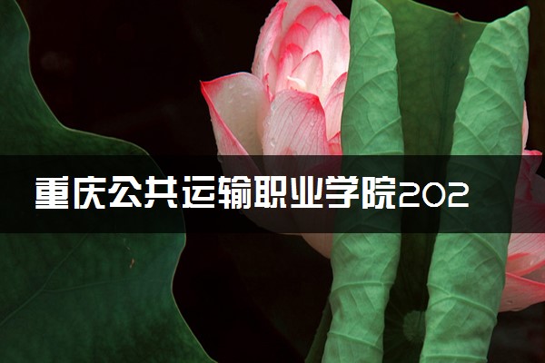 重庆公共运输职业学院2024各省录取分数线及最低位次是多少
