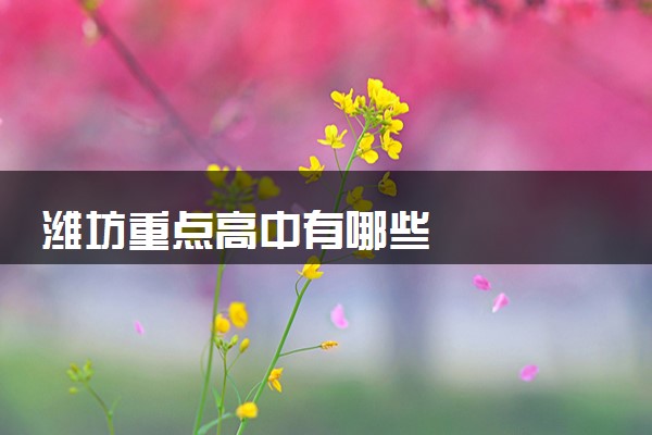 潍坊重点高中有哪些