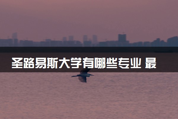 圣路易斯大学有哪些专业 最厉害三个专业是什么