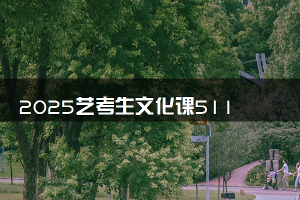 2025艺考生文化课511分能上安康学院吗