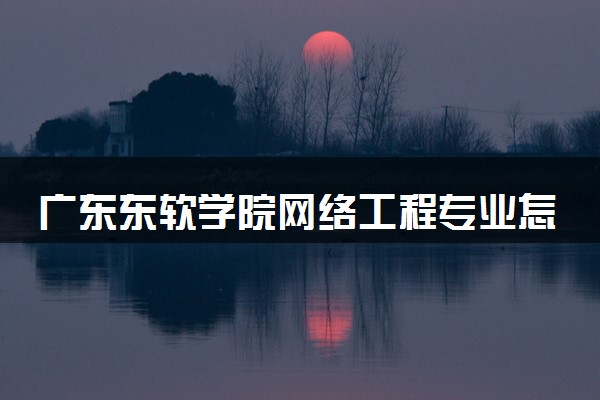 广东东软学院网络工程专业怎么样 录取分数线多少