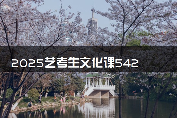 2025艺考生文化课542分能上太原理工大学吗