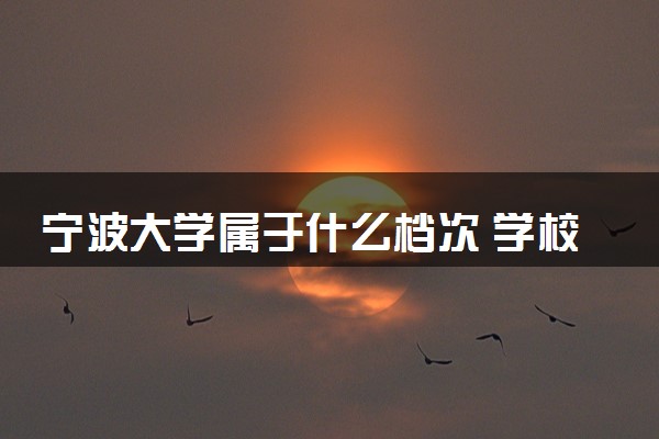 宁波大学属于什么档次 学校好不好