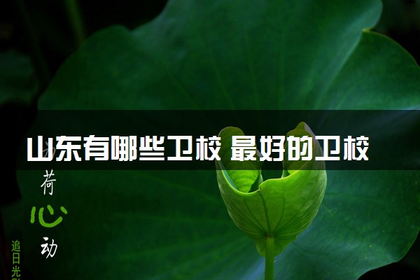 山东有哪些卫校 最好的卫校名单公布