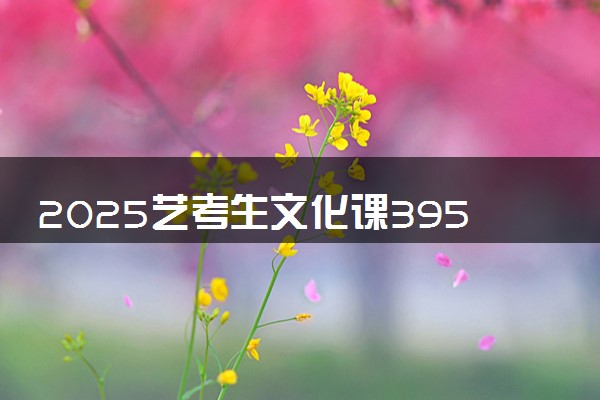 2025艺考生文化课395分能上陕西学前师范学院吗