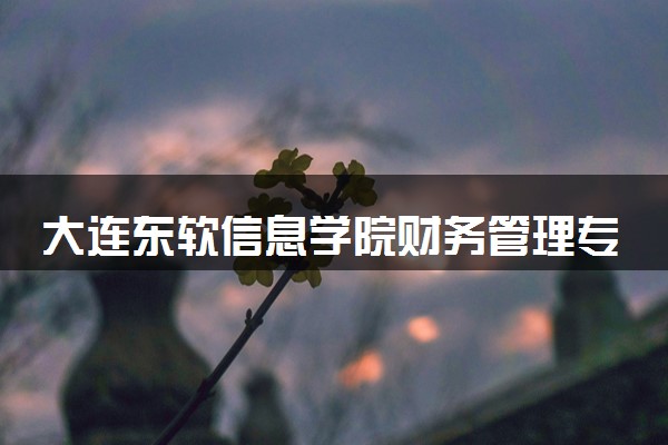 大连东软信息学院财务管理专业怎么样 录取分数线多少