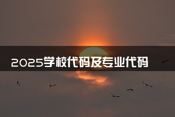 2025学校代码及专业代码查询网 查询方法有哪些