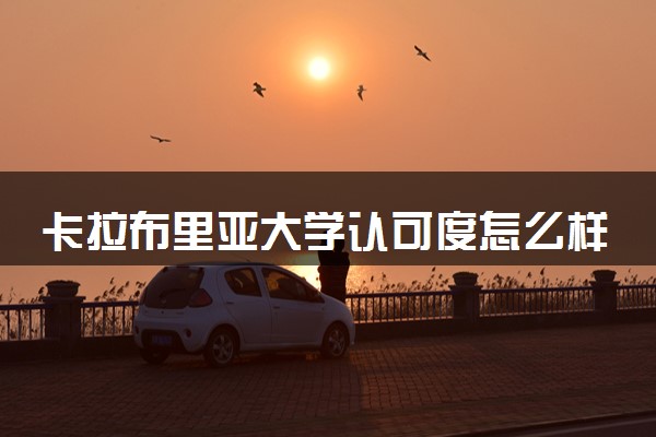 卡拉布里亚大学认可度怎么样 相当于国内什么大学