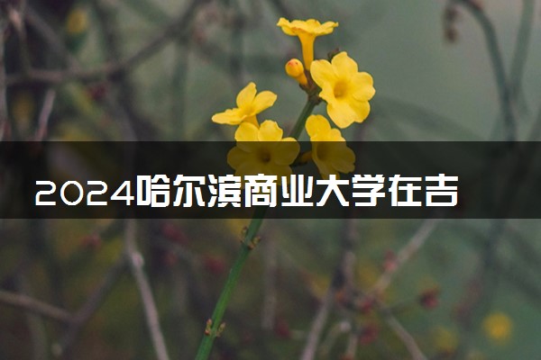 2024哈尔滨商业大学在吉林录取分数线 各专业分数及位次