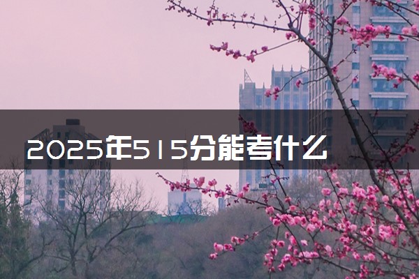 2025年515分能考什么艺术类大学 哪些大学值得报