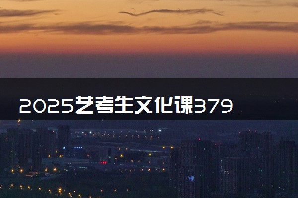 2025艺考生文化课379分能上安徽财贸职业学院吗