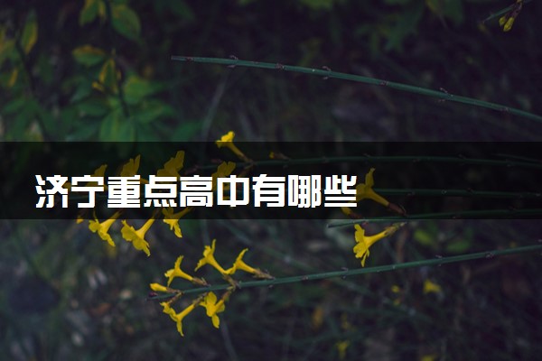 济宁重点高中有哪些