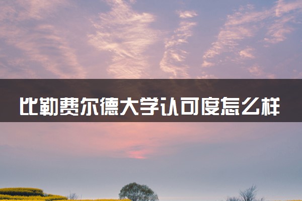 比勒费尔德大学认可度怎么样 相当于国内什么大学