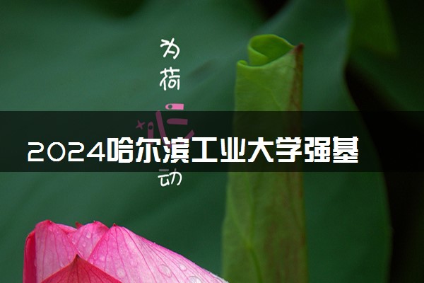 2024哈尔滨工业大学强基计划全国各省入围分数线汇总