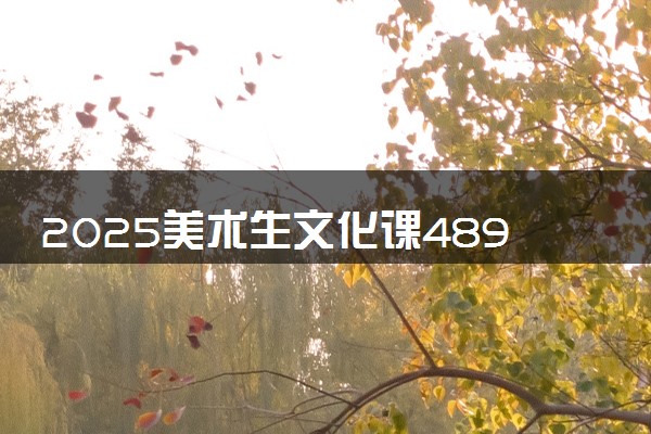 2025美术生文化课489分能上红河学院吗