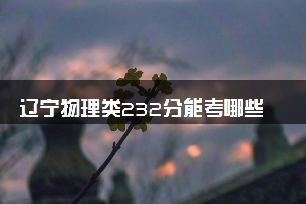 辽宁物理类232分能考哪些大学 2025考生稳上的大学名单