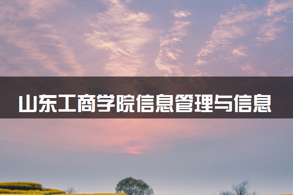 山东工商学院信息管理与信息系统专业怎么样 录取分数线多少