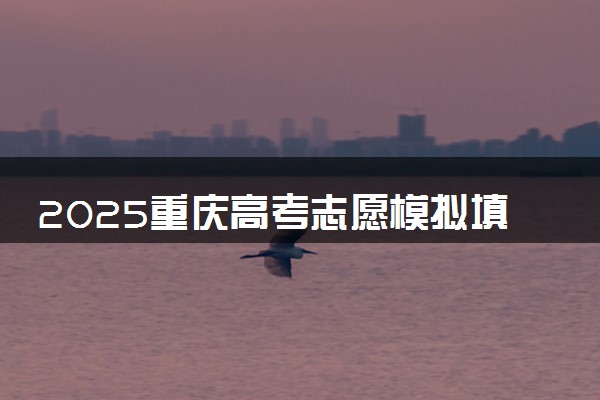 2025重庆高考志愿模拟填报样表 志愿设置及填报技巧